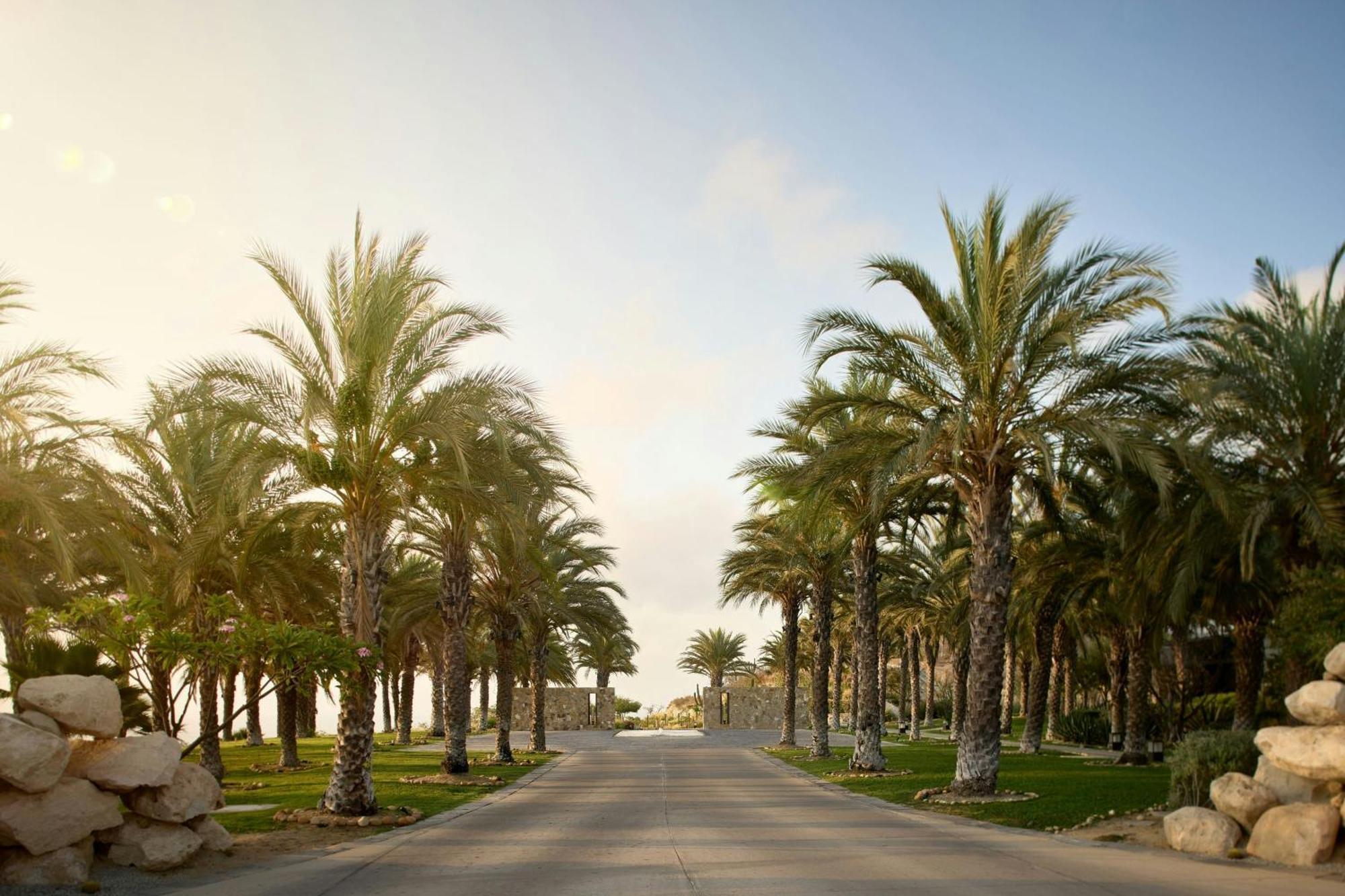 Zadun, A Ritz-Carlton Reserve San José del Cabo Exterior foto