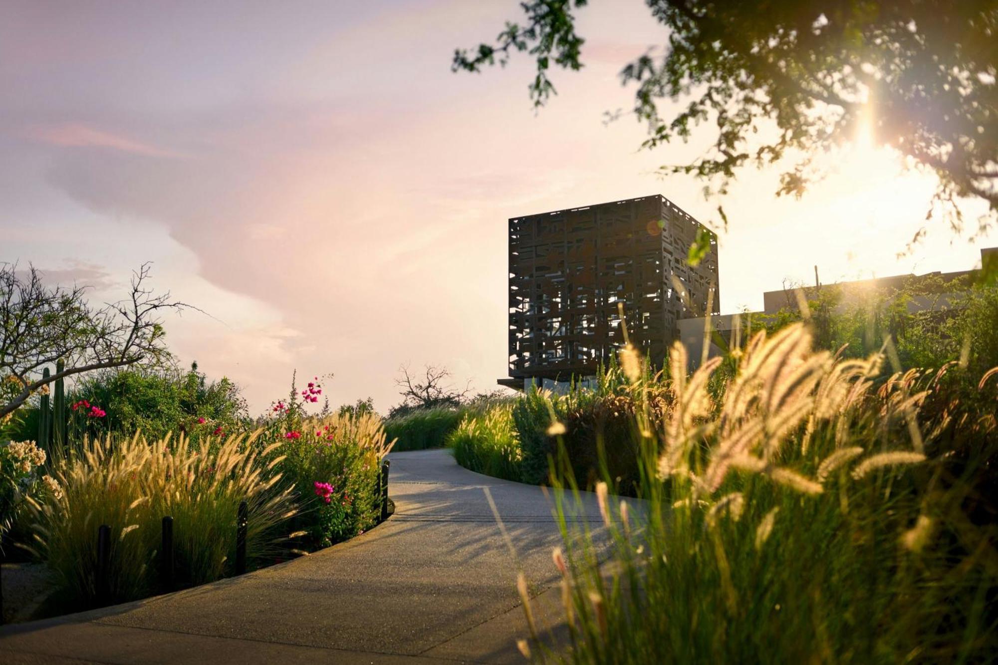 Zadun, A Ritz-Carlton Reserve San José del Cabo Exterior foto